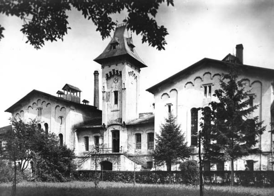 Фото із статті https://journals.bg.agh.edu.pl/GEOLOGIA/2010-03/Geologia_2010_3_01.pdf