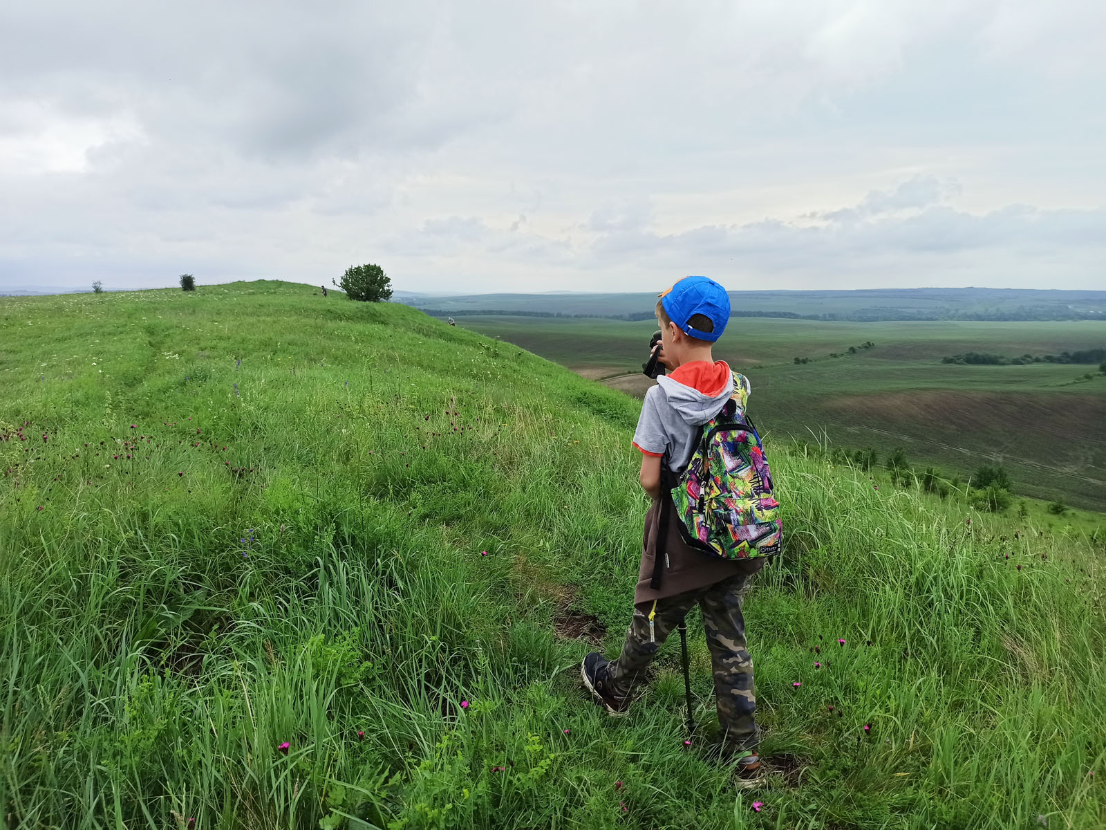 Ботанічна пам'ятка природи Чортова Гора 