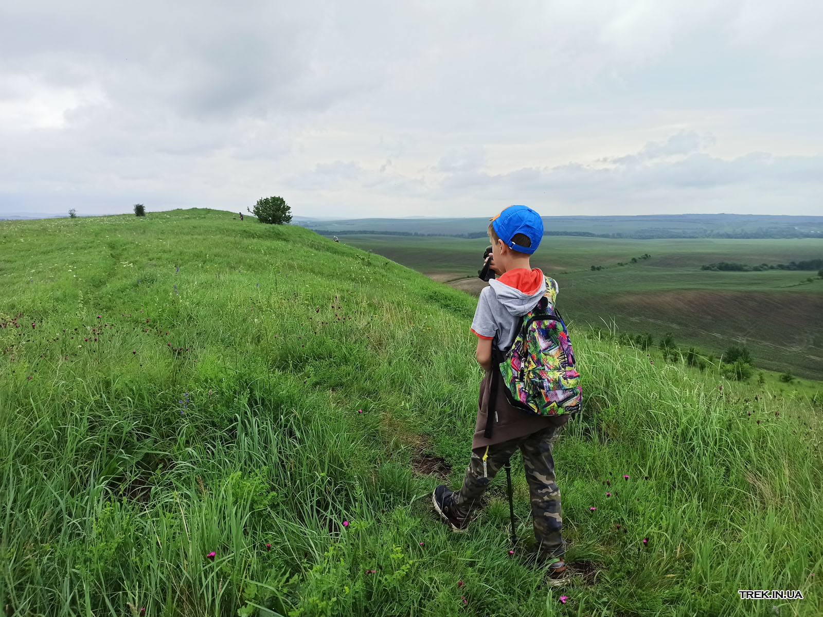 Ботанічна пам'ятка природи Чортова Гора 