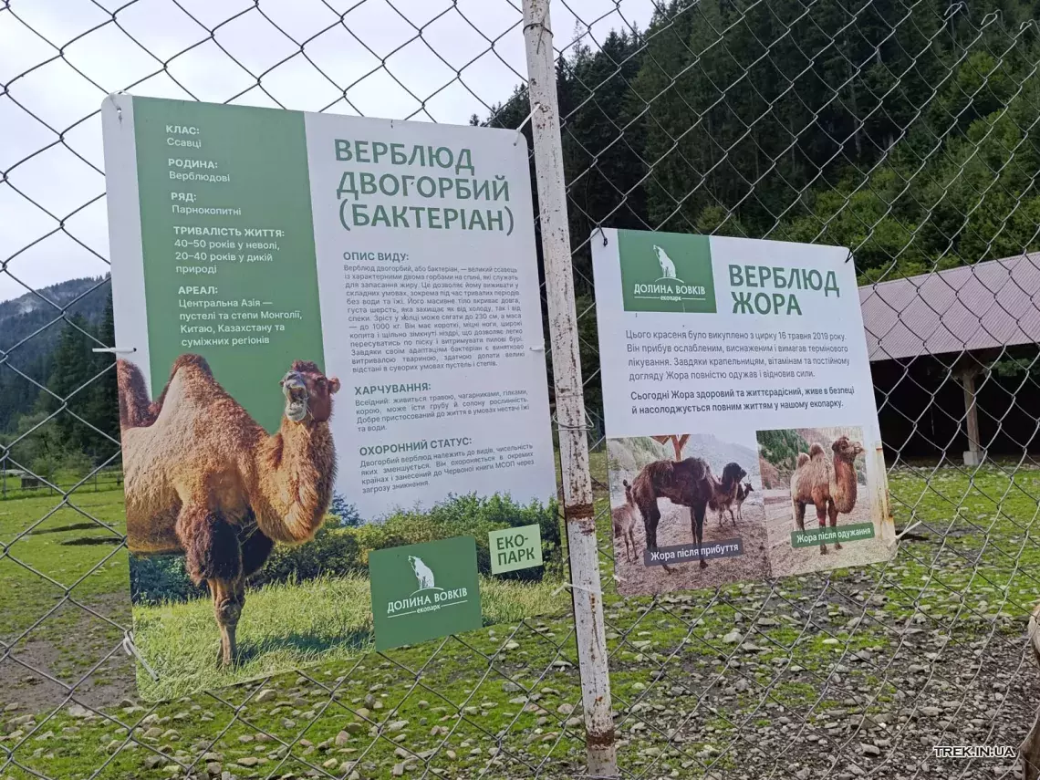 Екопарк Долина Вовків