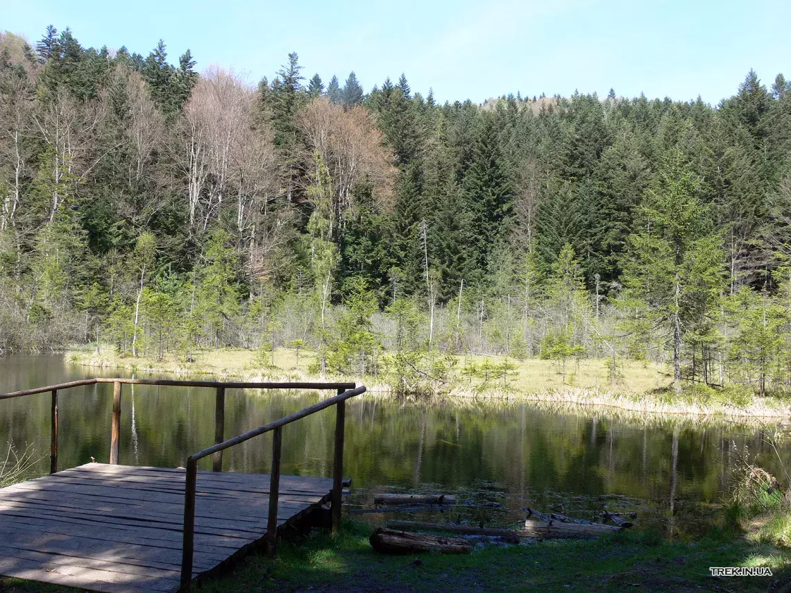 Мертве озеро або Журавлине озеро (Львівська обл., Сколівський р-н)