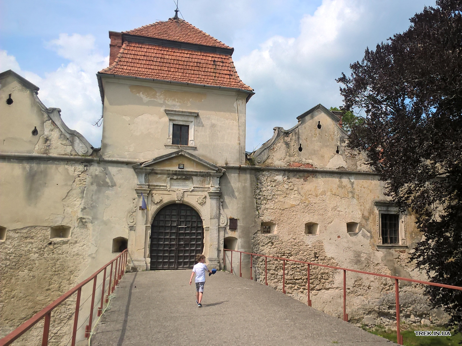 Свірзький замок (фото 2019 року)