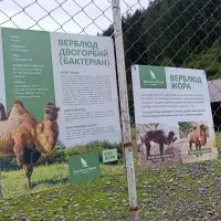 Екопарк Долина Вовків