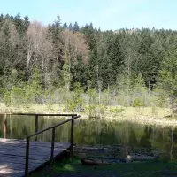 Мертве озеро або Журавлине озеро (Львівська обл., Сколівський р-н)