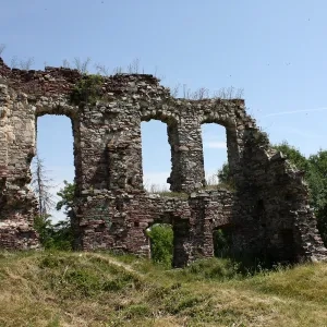 Бучацький замок, 2014