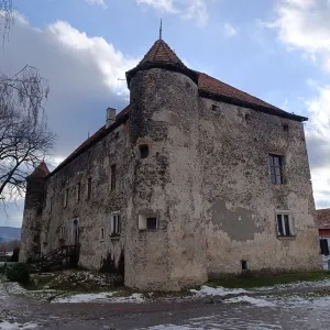 Чинадіївський замок