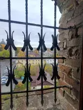 Вигляд на місто з Луцького замку