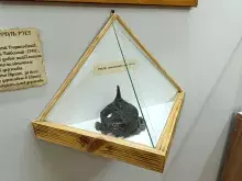 Умбон (наконечник выд щита)