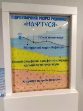 Геохімічний розріз родовища "Нафтуся"