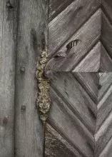 Двері (2025 рік)