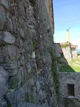 Мукачівський замок Паланок, 2021 рік