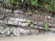 Річка Теребля