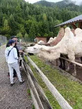 Екопарк Долина Вовків