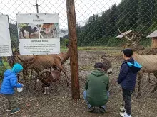 Екопарк Долина Вовків