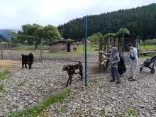 Екопарк Долина Вовків