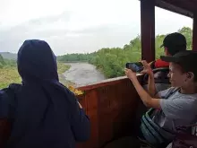 Карпатський трамвай