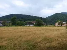 Краєвиди з Карпатського трамваю