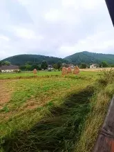 Краєвиди з Карпатського трамваю