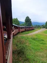 Краєвиди з Карпатського трамваю