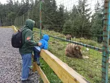 Реабілітаційний центр бурого ведмедя (Синевир)