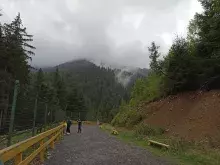 Реабілітаційний центр бурого ведмедя (Синевир)