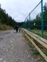 Реабілітаційний центр бурого ведмедя (Синевир)