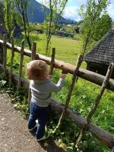 Скансен «Старе Село» у Колочаві 